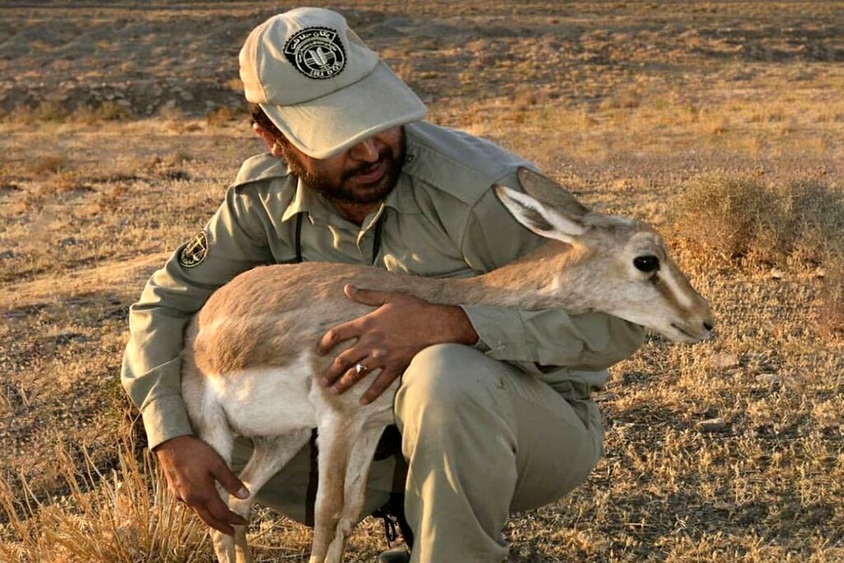 لغو حکم اعدام محیط‌بان کرمانشاهی واقعا صحت دارد؟