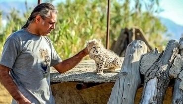  نباید «پیروز»، تاکسیدرمی می‌شد