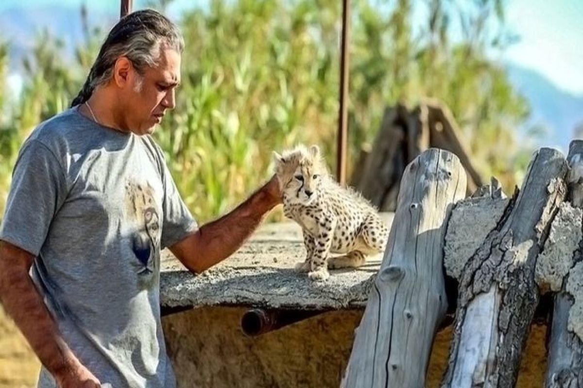  نباید «پیروز»، تاکسیدرمی می‌شد