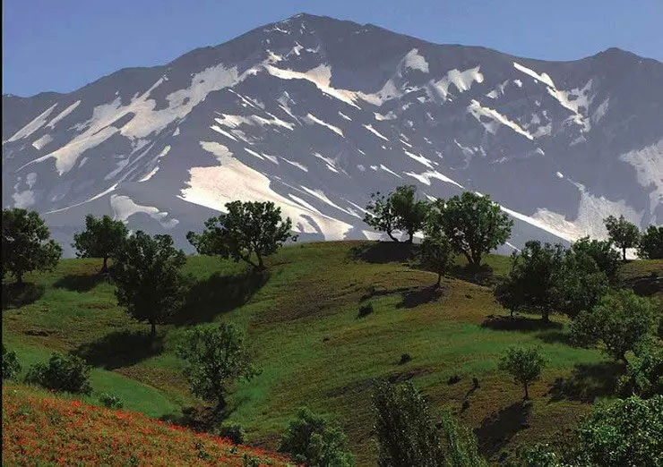 ریزش کوه و کشته شدن ۴ شیرازی در چهارمحال و بختیاری 