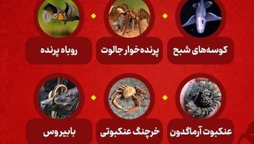 انتخاب ترسناک‌ترین حیوانات جهان توسط  هوش مصنوعی 