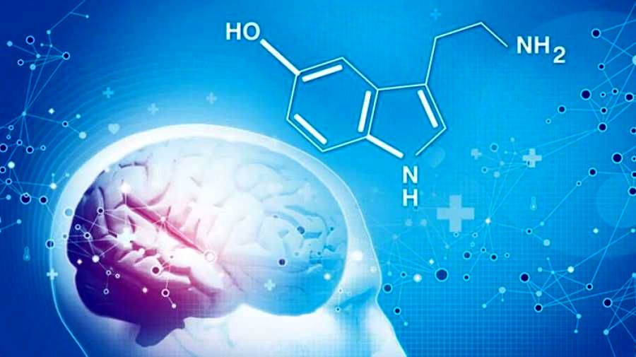 افزایش سروتونین در بدن با این روش ها