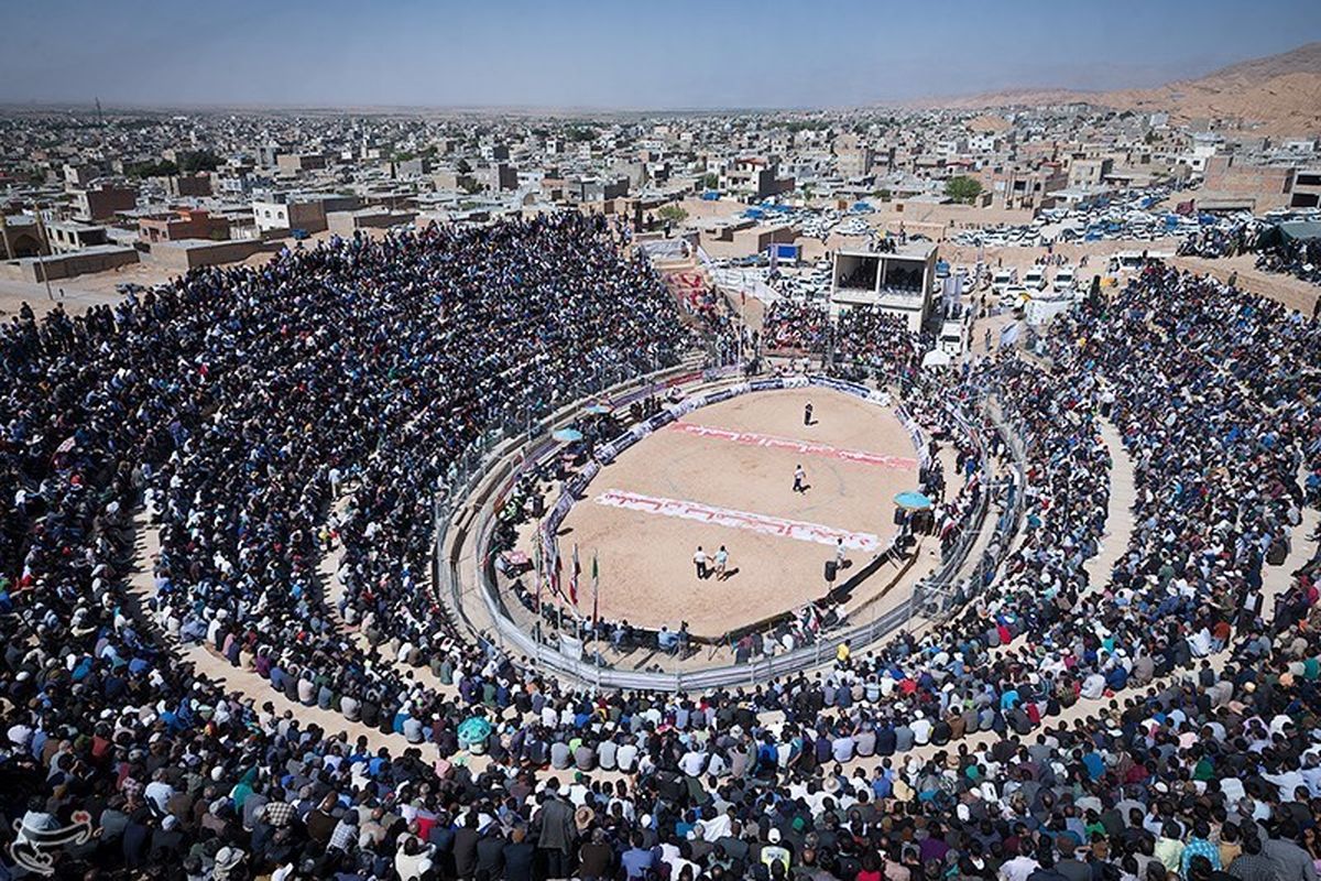 دربی را در گود زینل خان برگزار کنید!